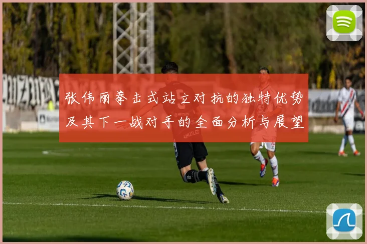 张伟丽拳击式站立对抗的独特优势及其下一战对手的全面分析与展望
